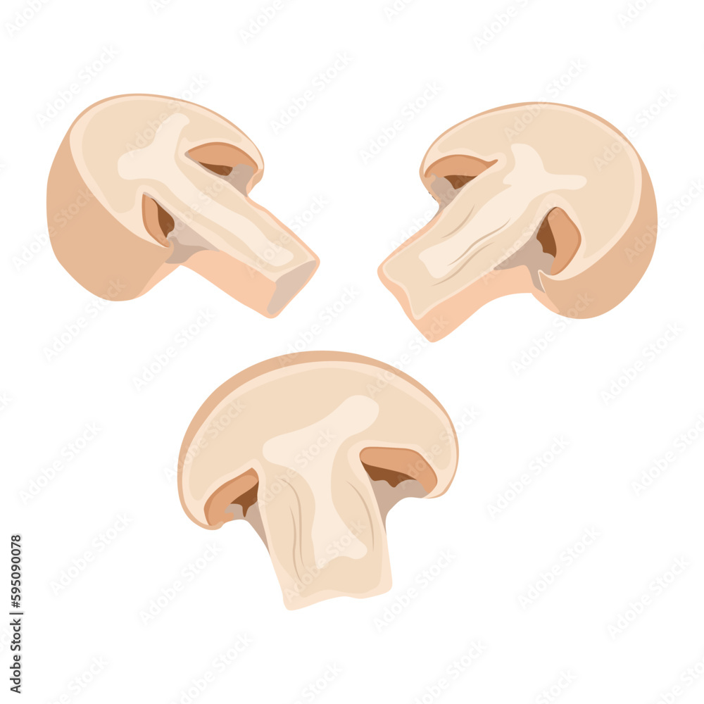 Vector illustration of champignon mushroom. Edible fungi whole and slice. For vegetarian food with healthy lifestyle Vector illustration of champignon mushroom. Edible fungi whole and slice. For vegetarian food with healthy lifestyle