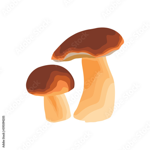 Vector illustration of big Boletus Edulis mushroom isolated on white background close up. Edible fungi from wild for vegetarian food protein nutrition