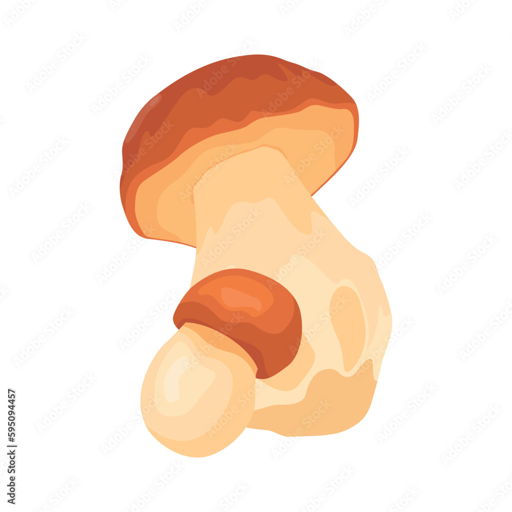 Vector illustration of big Boletus Edulis mushroom isolated on white background close up. Edible fungi from wild for vegetarian food protein nutrition Vector illustration of big Boletus Edulis mushroom isolated on white background close up. Edible fungi from wild for vegetarian food protein nutrition