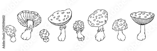 A set of linear sketches, coloring pages of forest mushrooms fly agaric.Vector graphics.	