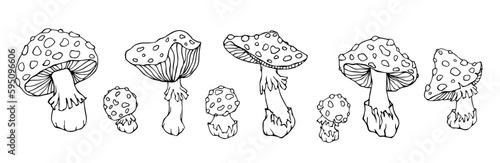 A set of linear sketches, coloring pages of forest mushrooms fly agaric.Vector graphics.	