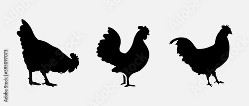 isolated black silhouette of a chicken , vector collection