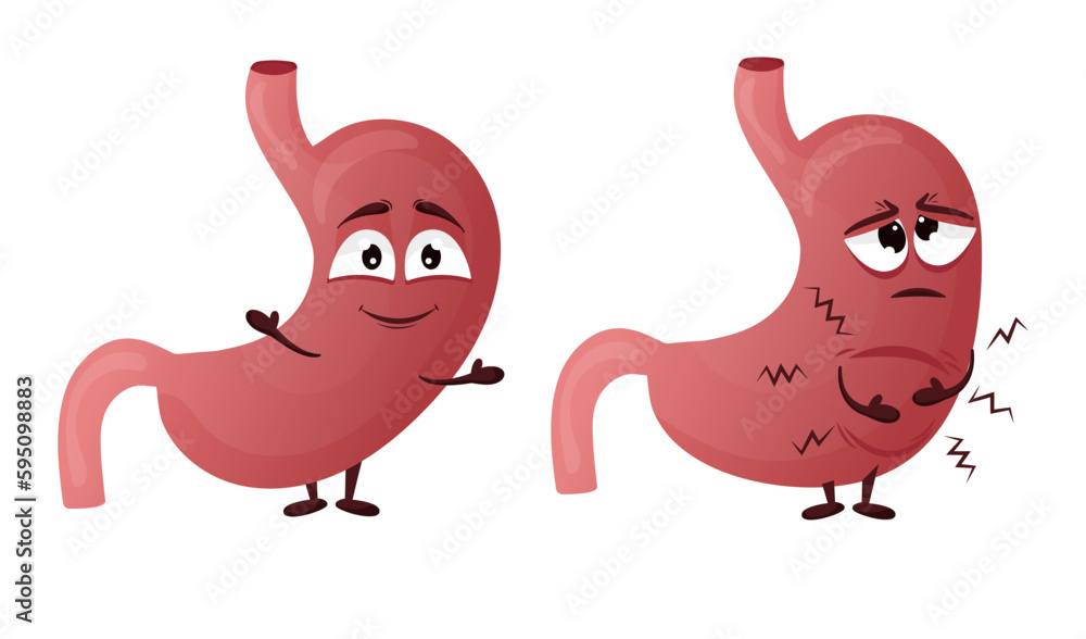 Cartoon stomach character. Concept of healthy and diseased internal organ, overeating, pain and heaviness. Vector illustration Cartoon stomach character. Concept of healthy and diseased internal organ, overeating, pain and heaviness. Vector illustration