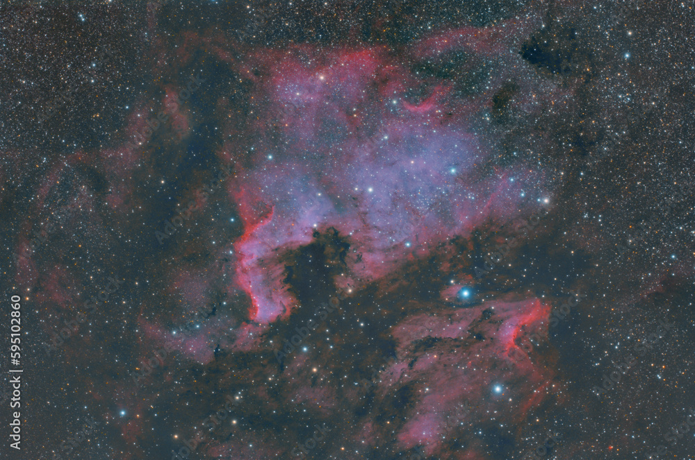 Fototapeta premium Cosmic Beauty: A Nebula Portrait