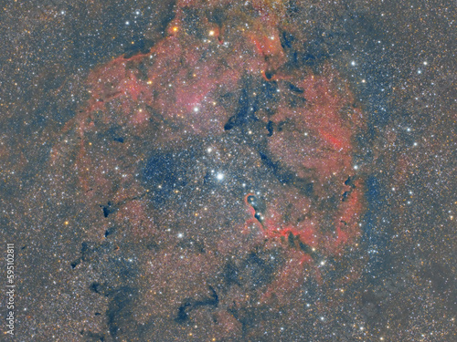 Cosmic Beauty  A Nebula Portrait