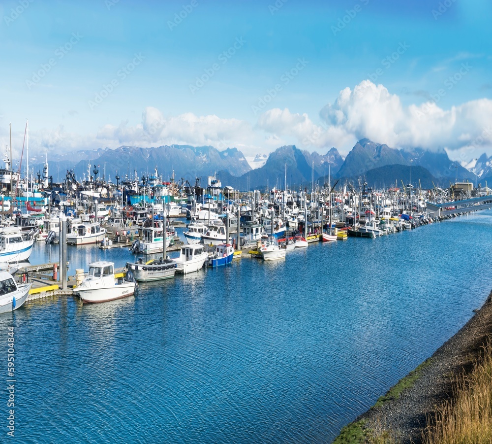 Alaska, Homer. Landscape view of the marina with a mountain background.