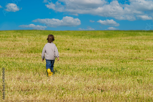 A child walking in the distance in a pasture with cut grass. Copy space.