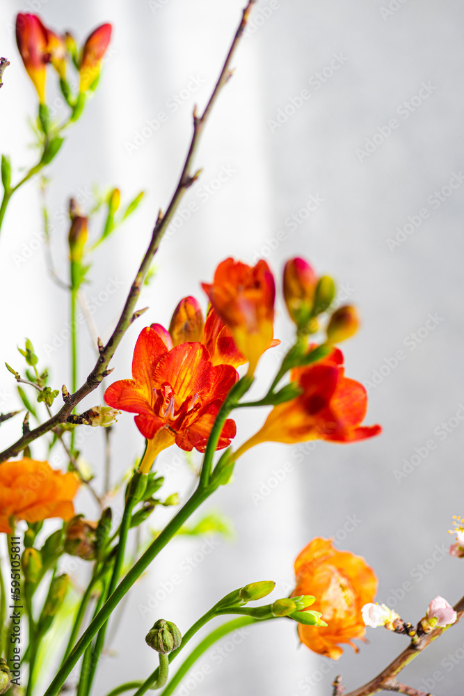 Floral composition with seasonal flowers Floral composition with seasonal flowers