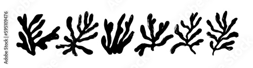Set of Matisse inspired plant branches. Brush drawn contemporary organic botanical elements. Vector corals and seaweed black silhouettes. Abstract matisse inspired floral illustrations. photo