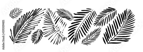 Exotic palm leaves in linear style collection. Brush drawn tropical palm leaves isolated on white background. Handdrawn vector ink illustration. Botanical grunge elements. Tropical foliage.