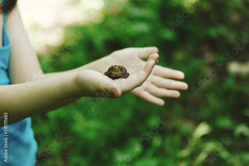 Young girl holding toad during Ohio summer in nature closeup, care of wildlife.