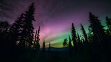 Northern lights over the forest 