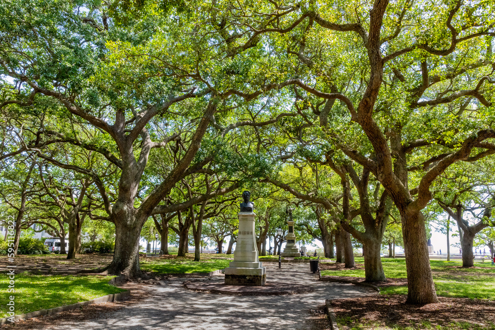 Urban tree canopy at White Point Garden park in Charleston South Carolina