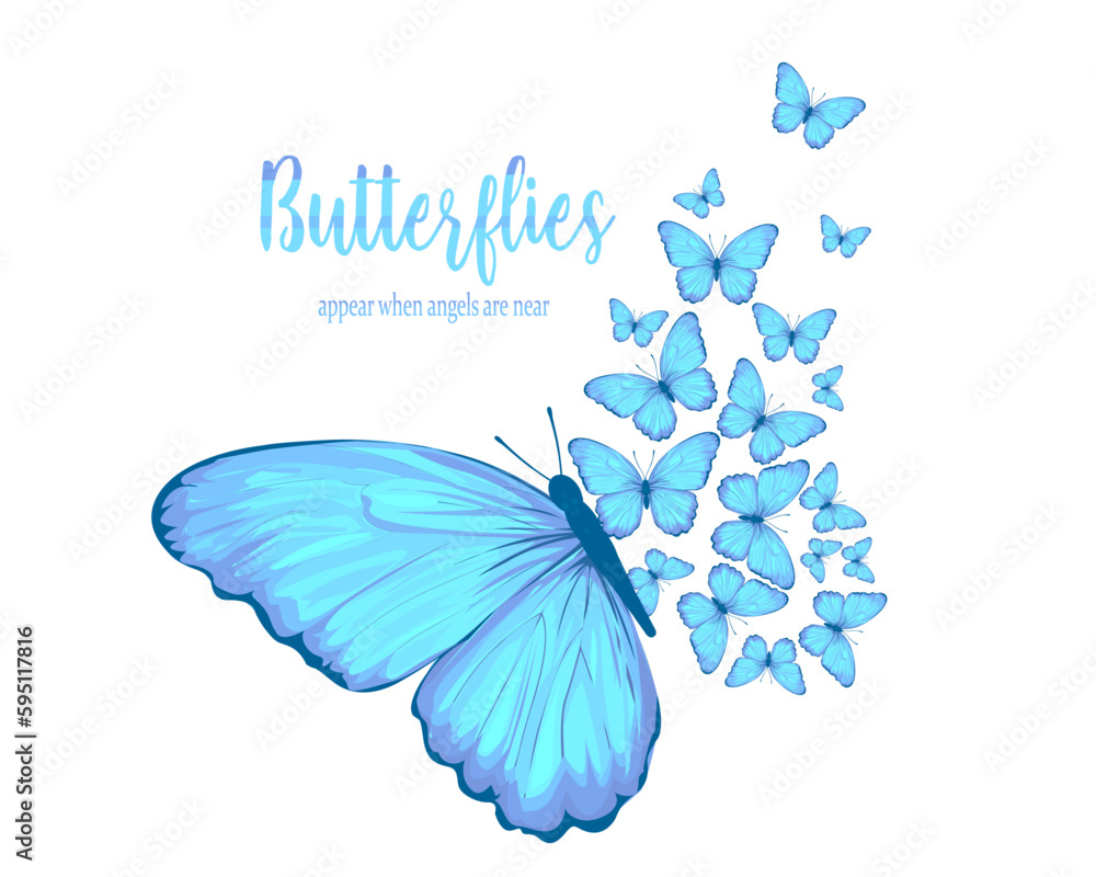 blue butterfly on white background - obrazy, fototapety, plakaty 