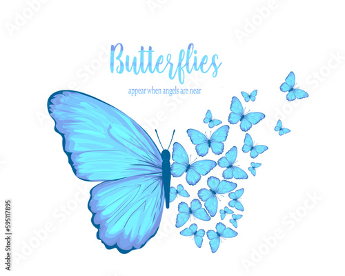 blue butterfly on white background
