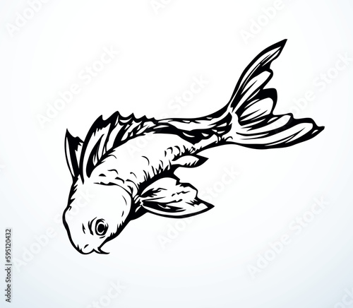 Vector drawing. Fish in the water