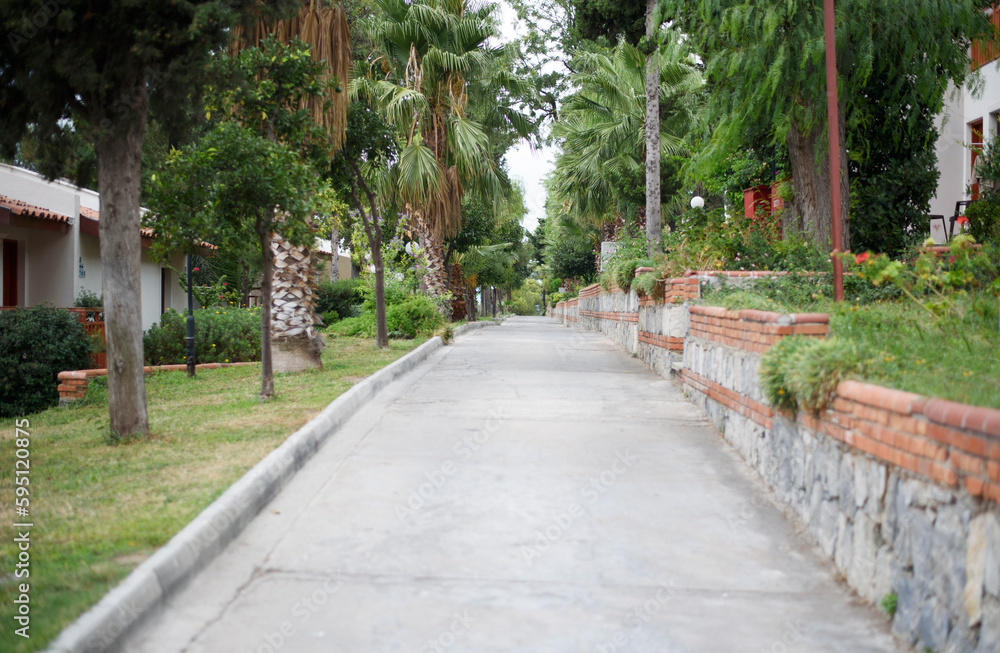 Paved pathway with palm trees and green bushes on both sides leading to the sea or park. Walking path and wayside trees in the park in summer. Alleyway in the park among the palm trees