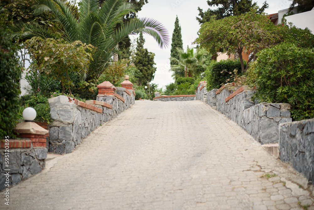 Paved pathway with palm trees and green bushes on both sides leading to the sea or park. Walking path and wayside trees in the park in summer. Alleyway in the park among the palm trees
