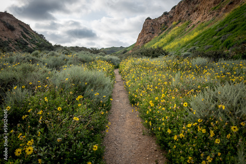 Spring Hiking Trales