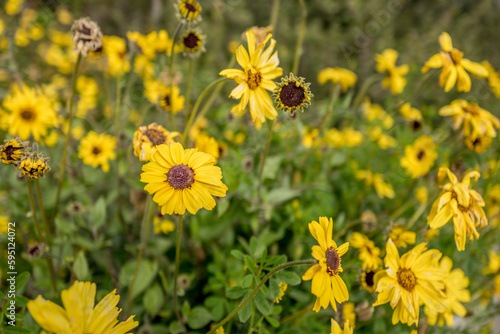 Spring Hiking Trales