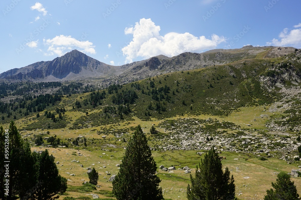 Beautiful landscape of the Pyrenees in summer