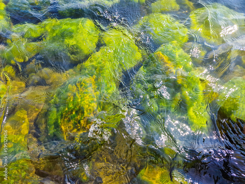 mossy stone near water edge of lake in sunlight. Sunny vivid scenery.