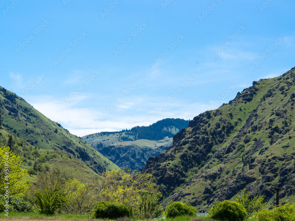 Hells Canyon View