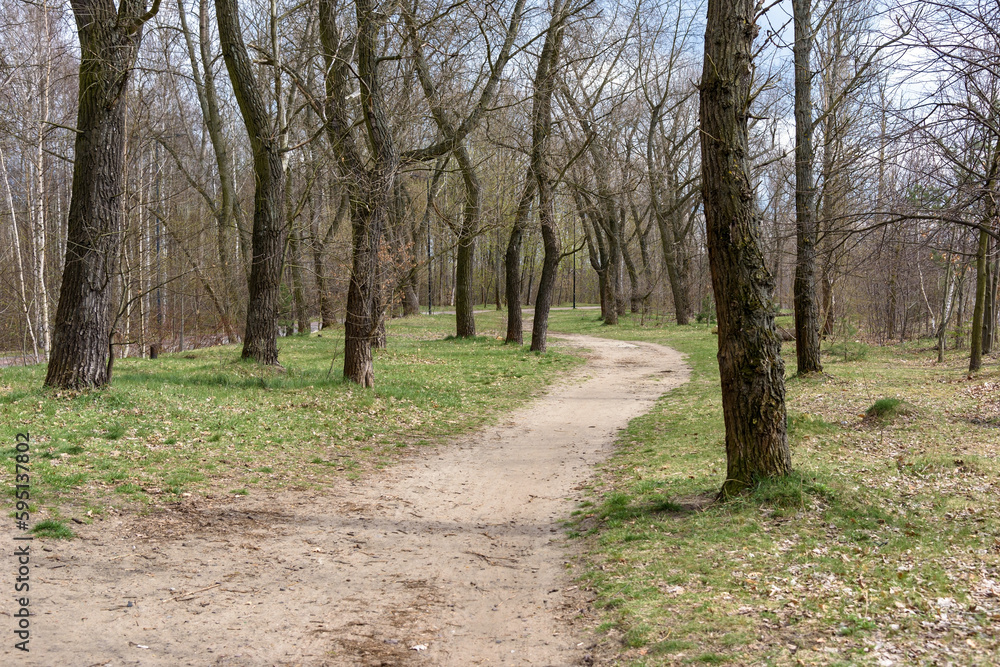Fototapeta premium Dirt road in the park on the border between Sosnowiec and Katowice cities