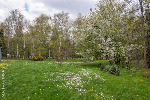 Spring flowers at South Park in city of Sofia, Bulgaria