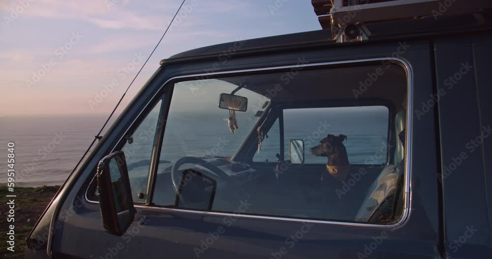 Rescue Dog watching the sunset at the cliffs of the Western Algarve inside of a vintage van during golden hour, Algarve, Portugal
