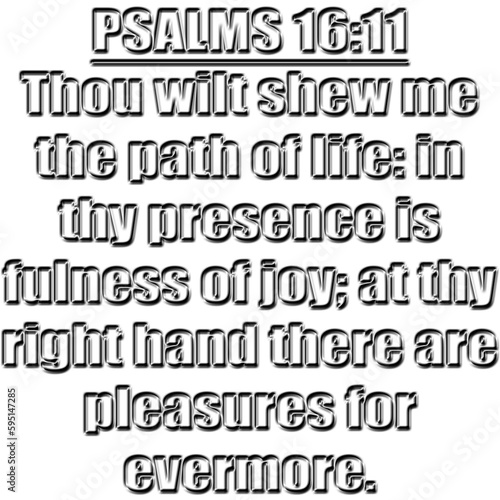 Psalms 16:11 KJV  Thou wilt shew me the path of life: in thy presence is fulness of joy; at thy right hand there are pleasures for evermore. photo