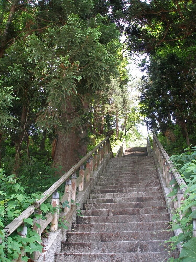 Obraz premium 木々に囲まれた階段