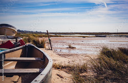 Ria Formosa nature park ecosystem in algarve south portugal
