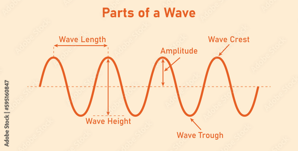 The basic properties of waves. Parts of wave diagram. Direction of wave
