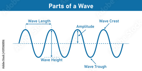 The basic properties of waves. Parts of wave diagram. Direction of wave motion. Crest, trough, amplitude, height and length of wave. Vector illustration isolated on white background.