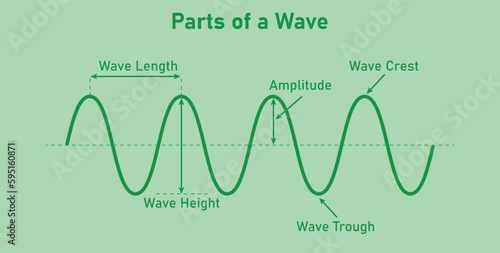 The basic properties of waves. Parts of wave diagram. Direction of wave motion. Crest, trough, amplitude, height and length of wave. Vector illustration.