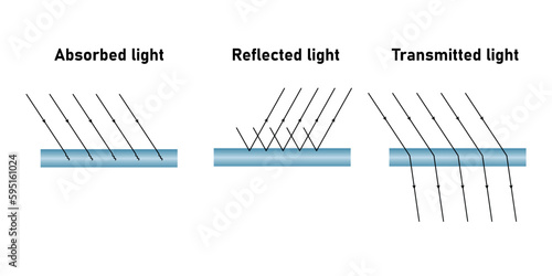 Reflection absorption and transmission of light. Light falls on a surface. Properties of light diagram. Vector illustration isolated on white background.