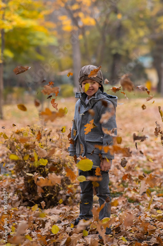 Caucasian boy in a gray coat and beret in the autumn forest. Autumn Walk.
