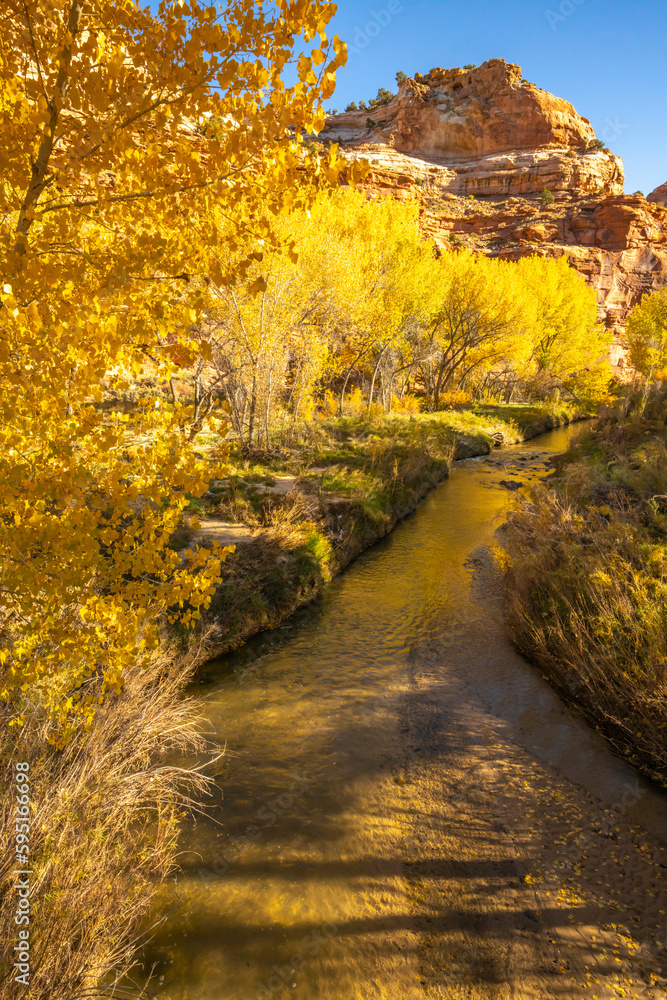 USA, Utah, Grand Staircase Escalante National Monument. Escalante River and trees in fall color.