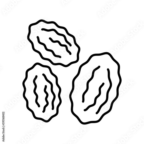 Raisin Fruit Icon Vector Outline illustration on white background..eps