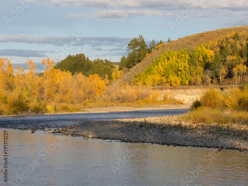 Wyoming, Grand Teton National Park. Gros Ventre River with golden Aspen trees