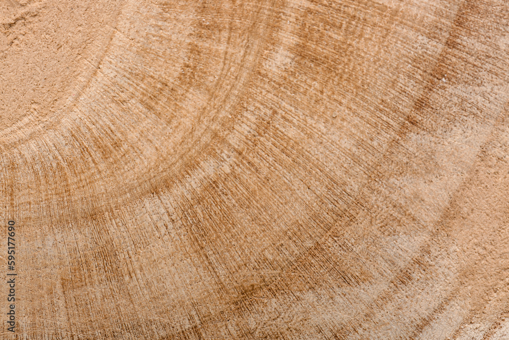 Fototapeta premium View of wooden texture as background, closeup