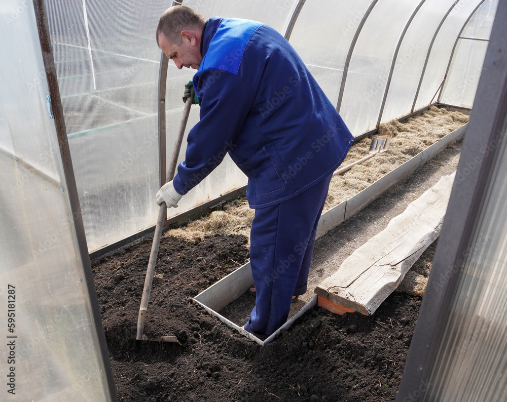 A man works in a vegetable garden in early spring. Digs the ground. Working in a greenhouse A man works in a vegetable garden in early spring. Digs the ground. Working in a greenhouse
