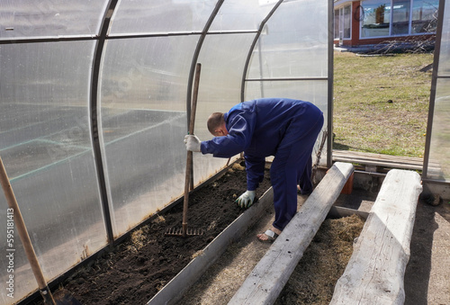 A man works in a vegetable garden in early spring. Digs the ground. Working in a greenhouse