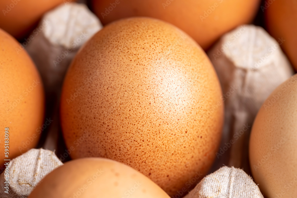 Yellow Chicken Eggs Packed for Storage Yellow Chicken Eggs Packed for Storage