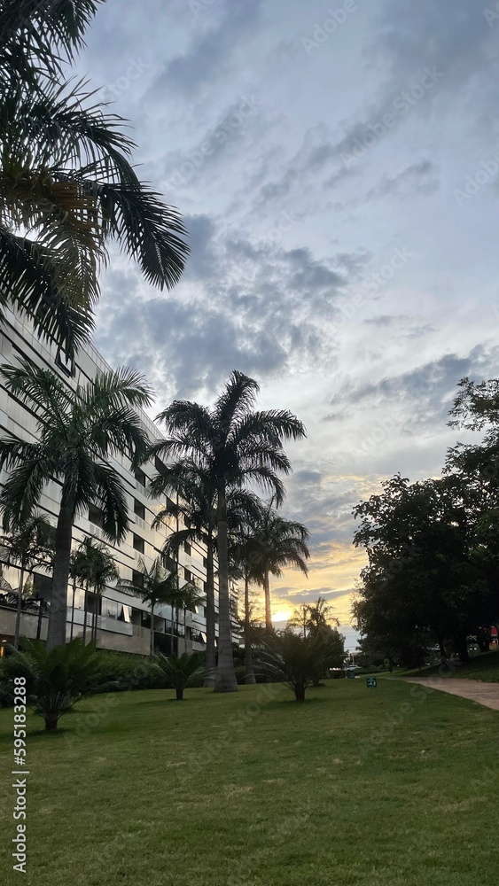 Building and trees on a sunset with a cloudy sky at Sudoeste neighborhood, Brasília, DF Building and trees on a sunset with a cloudy sky at Sudoeste neighborhood, Brasília, DF