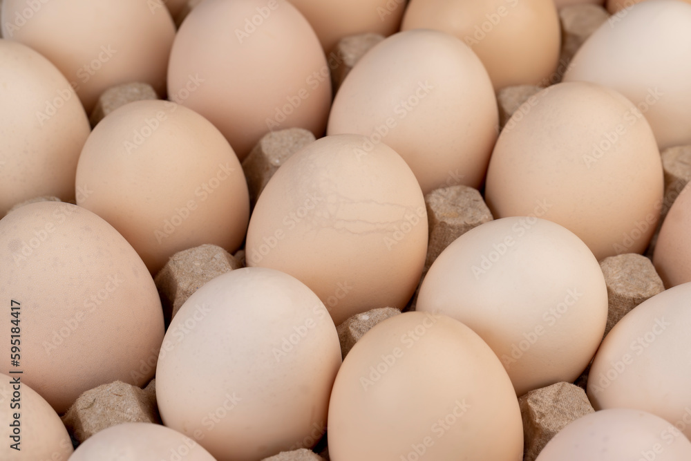 Tray with a large number of white chicken eggs