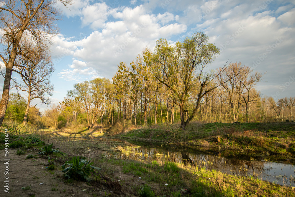  Krajobraz, zachód słońca