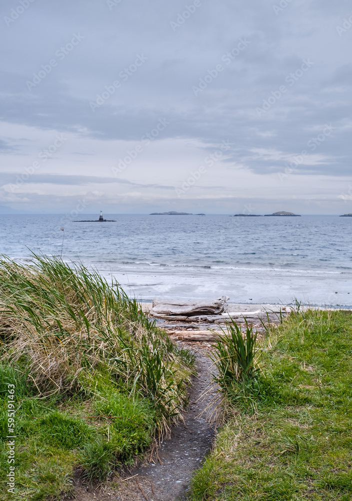 Long seagrass blows in the wind at Piper's Lagoon beach on Vancouver Island, Canada. Long seagrass blows in the wind at Piper's Lagoon beach on Vancouver Island, Canada.