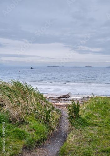 Long seagrass blows in the wind at Piper's Lagoon beach on Vancouver Island, Canada.